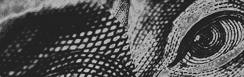 hungry money eye preview Money Stash Clothing